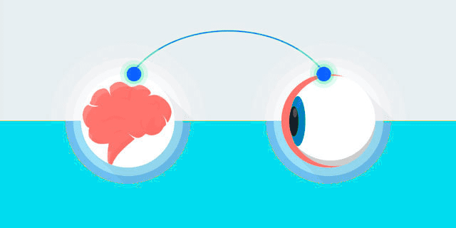 Contenido visual, especialistas en redes sociales